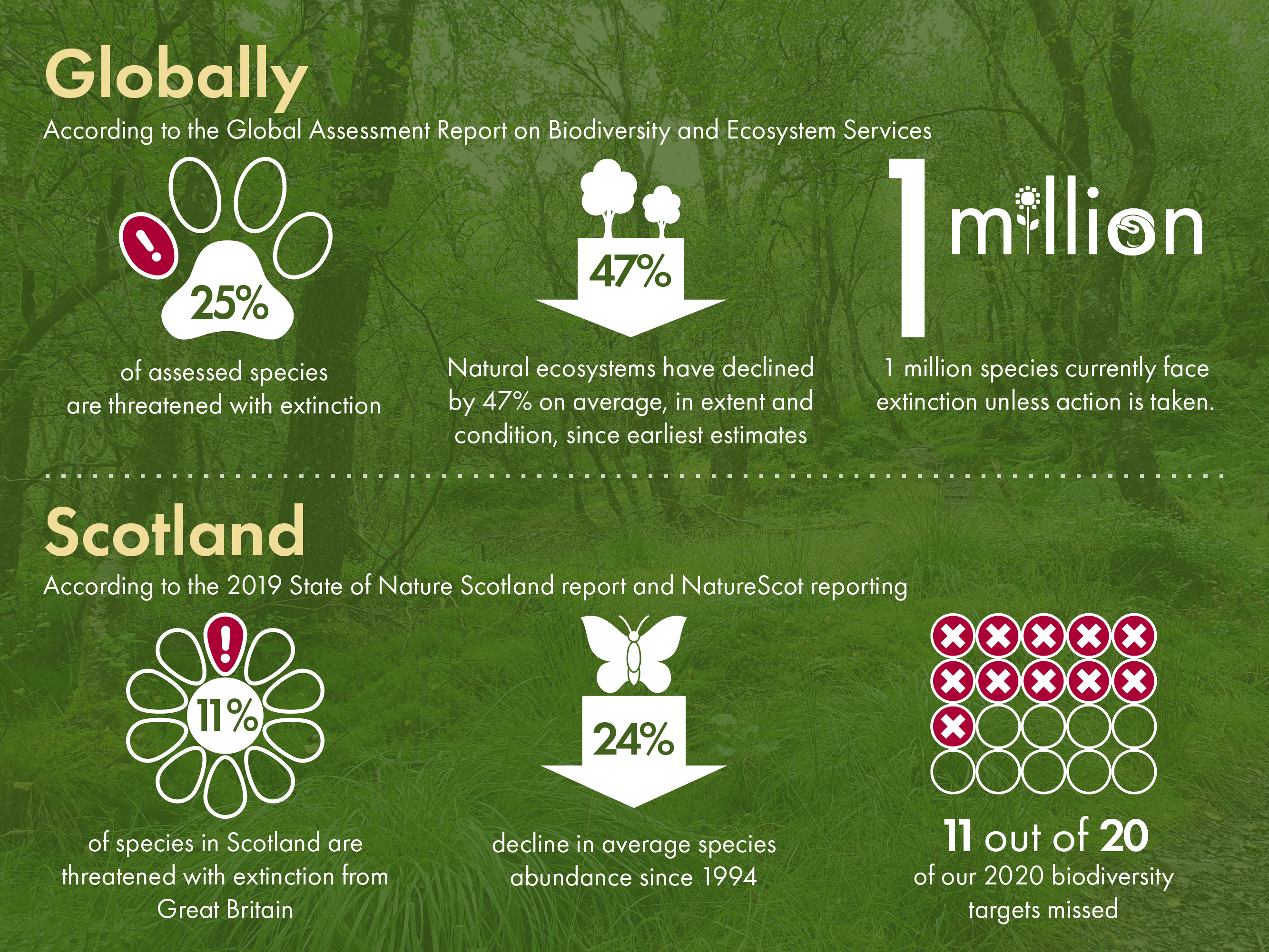 Key reports in recent years show nature is in decline in Scotland and globally.