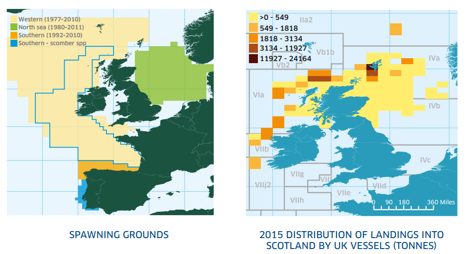 Northeast Atlantic mackerel stocks